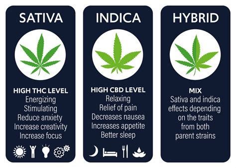 How Cannabis Strains Get Their Names - Dank Budz