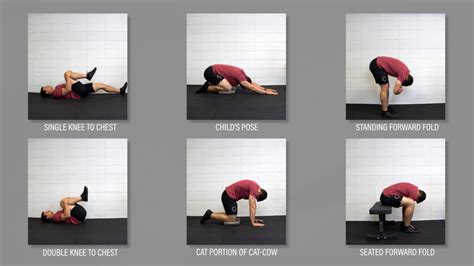 Yoga Exercises For Lumbar Spinal Stenosis | Blog Dandk