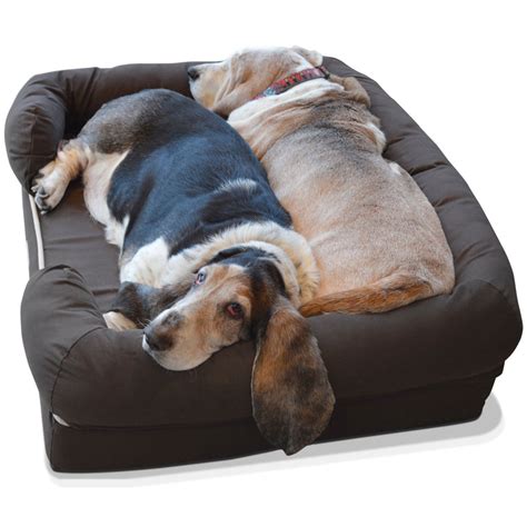 PetFusion Ultimate Dog Bed With Memory Foam - Brown