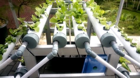 How Much Is A Aquaponic System | Get Plans DIY Aquaponics