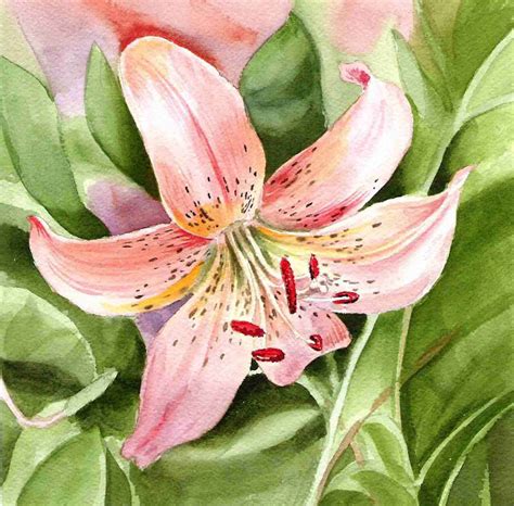 Watercolor Lily Painting