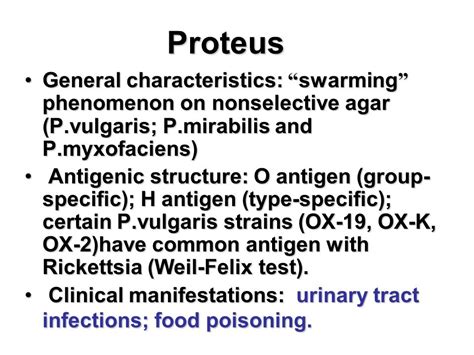 Proteus mirabilis uti antibiotic