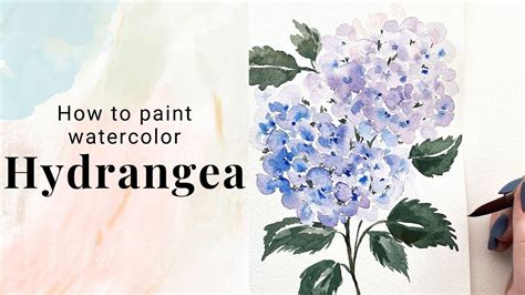 How to paint watercolor Hydrangea - watercolor flower tutorial - day 19 ...