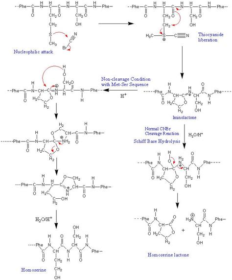 Cyanogen bromide - Alchetron, The Free Social Encyclopedia