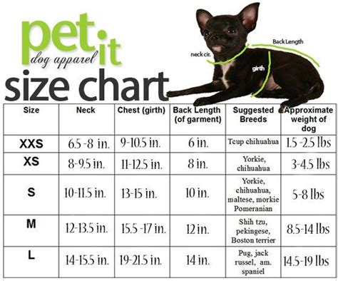 Chihuahua Size Chart - Pets Lovers