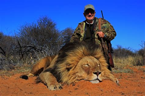 African lion hunting safari packages South Africa | Mkulu African ...