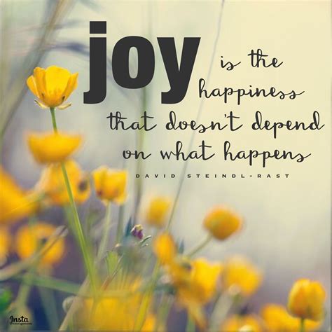 Difference Between Happiness And Joy Quotes - ShortQuotes.cc