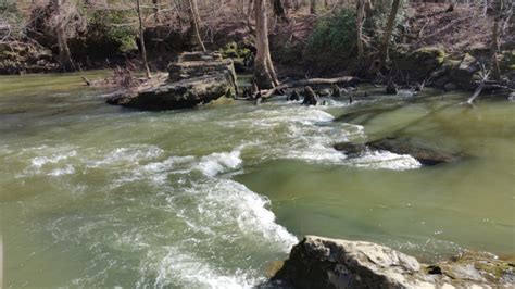 Tishomingo State Park: Uncover History and 400+ Miles of Bike Paths