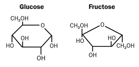 What do two sugar isomers have in common? + Example