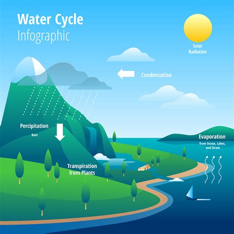 Water Cycle Illustration Kids