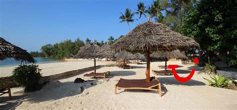 Paradise Beach Resort Zanzibar - Hotel - Tanzania | TUI