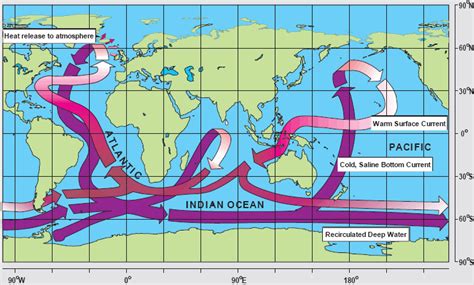 Map of Ocean Circulation | Center for Science Education