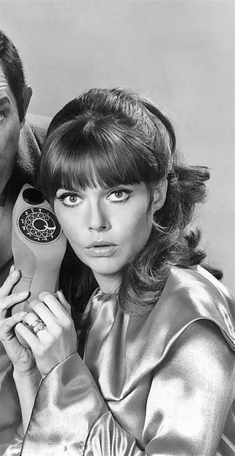 Barbara Feldon | Classic television, Old tv shows, 60s sitcoms