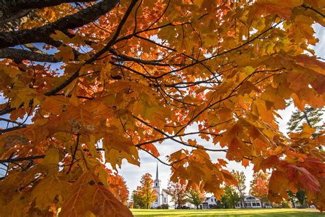 It’s been a wet, hazy summer in Vermont. What does that mean for fall ...