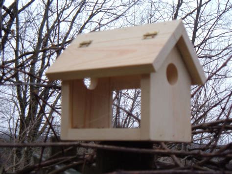 Bluebird Feeder Plans: How to Make a Bluebird Feeder # ...