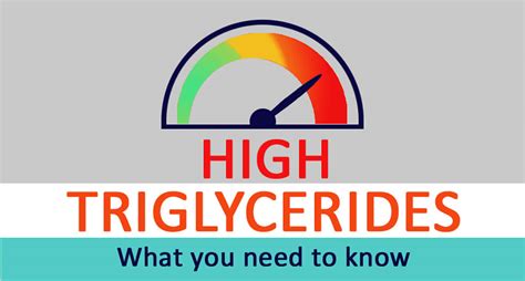 High Triglycerides: Symptoms, Causes And How To Lower Axe, 50% OFF