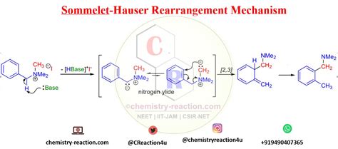 Sommelet-Hauser Rearrangement « Organic Chemistry Reaction