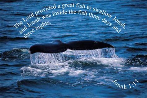 Jonah and the Big Fish memory verse wallpaper