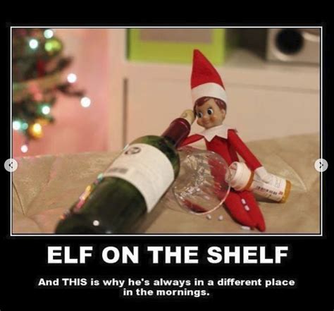 The Elf On The Shelf Did It Christmas Memes Funny Animal Pictures ...