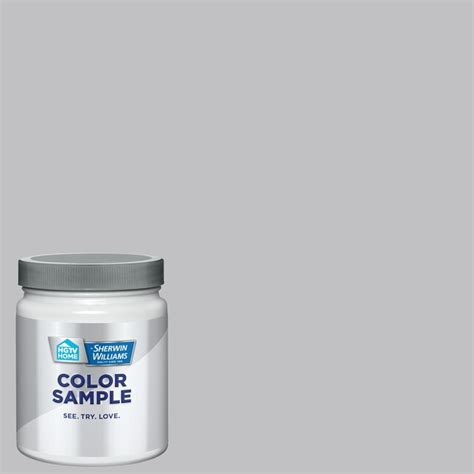 HGTV HOME by Sherwin-Williams Latitude HGSW1446 Paint Sample (Half-pint ...