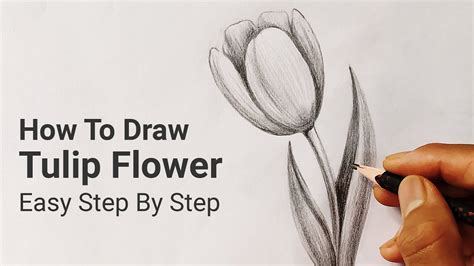 Tulip Flower Drawing Easy Step By Step - Firecollies