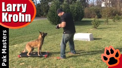 Incredible dog training obedience with Luca the Belgian Malinois - YouTube