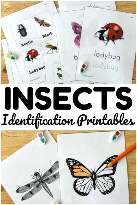 Free Bug Printables Pack for Kids - Look! We're Learning!