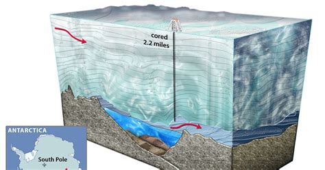 Smart solution from the plant kingdom: The Lake Vostok