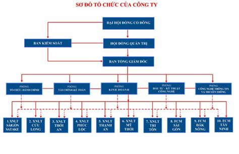 20+ mẫu sơ đồ tổ chức công ty 2024 - Vinamilk cơ cấu ra sao?