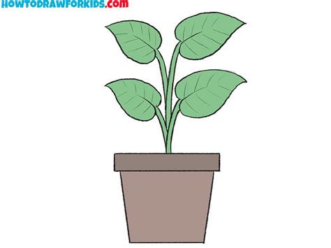 Simple Plant Drawings