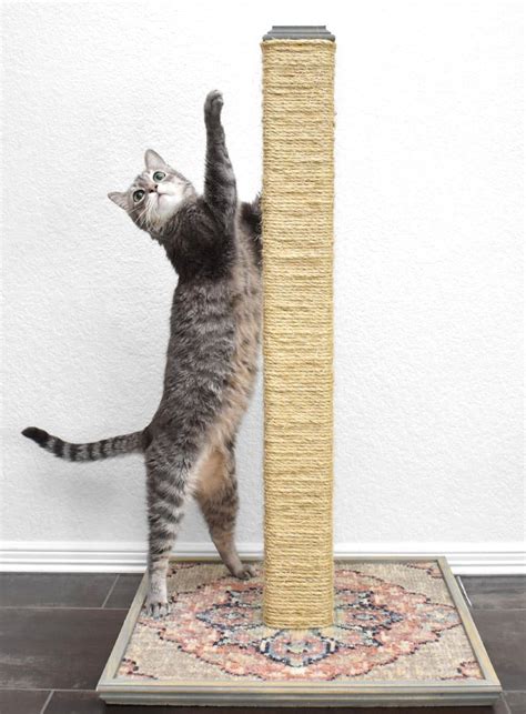 diy-cat-scratching-post-cheap-kitty-scratcher-dreamalittlebigger-32 ⋆ ...