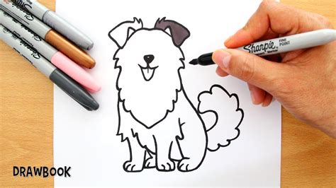 How to Draw AUSTRALIAN SHEPHERD DOG (Sheepdog) - Drawbook