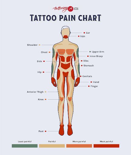 Tattoo Placement Chart