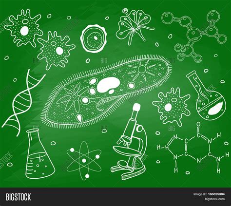 Biology Sketches On Vector & Photo (Free Trial) | Bigstock