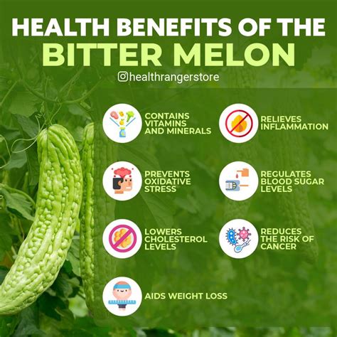 Health benefits of the bitter melon | Bitter melon, Health benefits ...