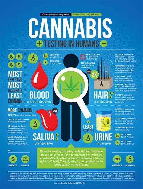 How to Pass a Drug Test : Cannabis : Urine, Hair or Blood Testing