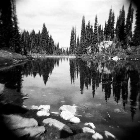 Forest Photo Black White Landscape Decor Holga Nature - Etsy Canada