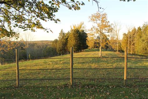 Pasture fencing install Part 1 - ofhorseandhome