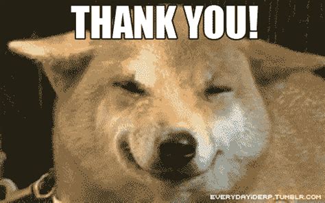 Thank you! | Reaction GIFs