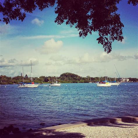 Marina jacks stock photo. Image of boats, sarasota, summer - 117985754