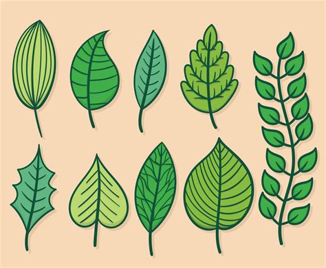 Green Leaves Clipart Set Vector Art & Graphics | freevector.com