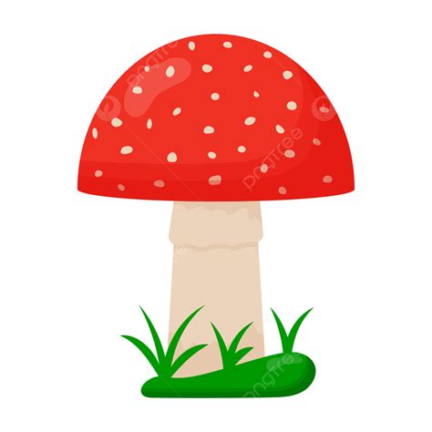 Hình ảnh Nấm Amanita Bay Agaric Muscaria PNG , Thực Vật, Mùa Hè, Vui ...