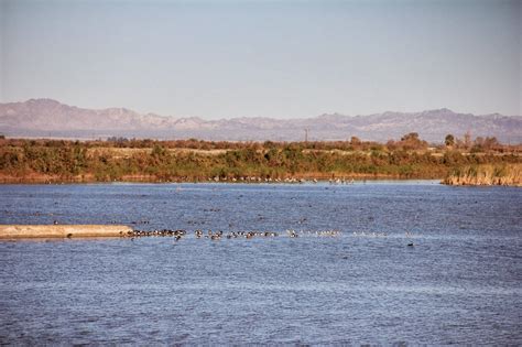 H*Mac: my photographic journal: Sonny Bono Salton Sea National Wildlife ...