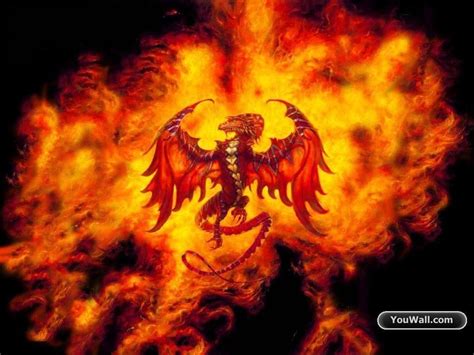 Fire Dragon Wallpapers - Wallpaper Cave