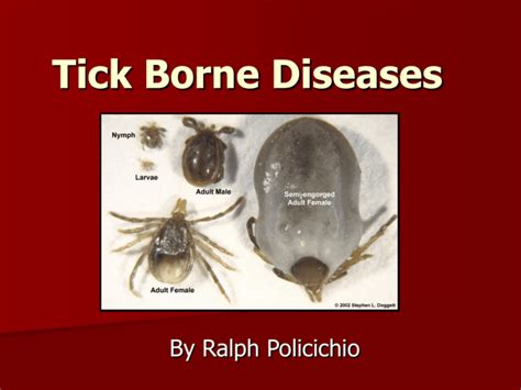 Tick Borne Diseases