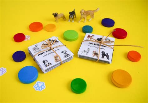 Dog Memory Game | Adventure in a Box