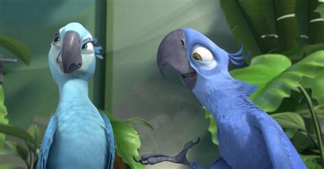 Blue macaw parrot that inspired "Rio" is now officially extinct in the ...