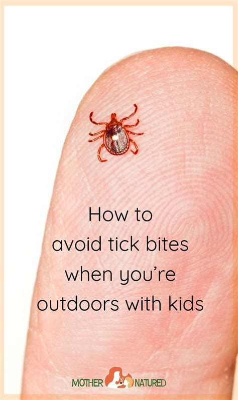 How to avoid tick bites when you’re outdoors with kids - Mother Natured ...