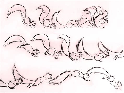 Hopping Squirrel – Frame by frame animation | Animation sketches, Frame ...