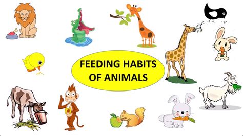 Top 136+ Pictures of feeding habits of animals - Merkantilaklubben.org